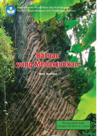 Image of Batuan yang Menakjubkan : Buku Bacaan SD Kelas 4, 5, dan 6