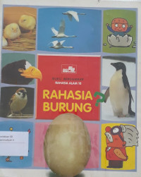 Image of Rahasia Burung: buku bergambar rahasia alam 10