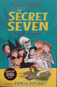 Image of The Secret Seven : mystery of the skull